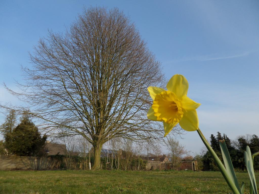 Villa Bijenhof Varsenare Oda fotoğraf