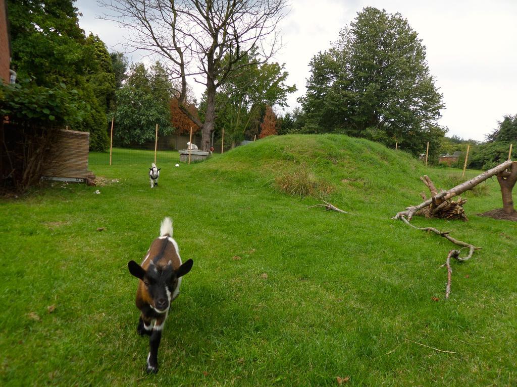 Villa Bijenhof Varsenare Oda fotoğraf