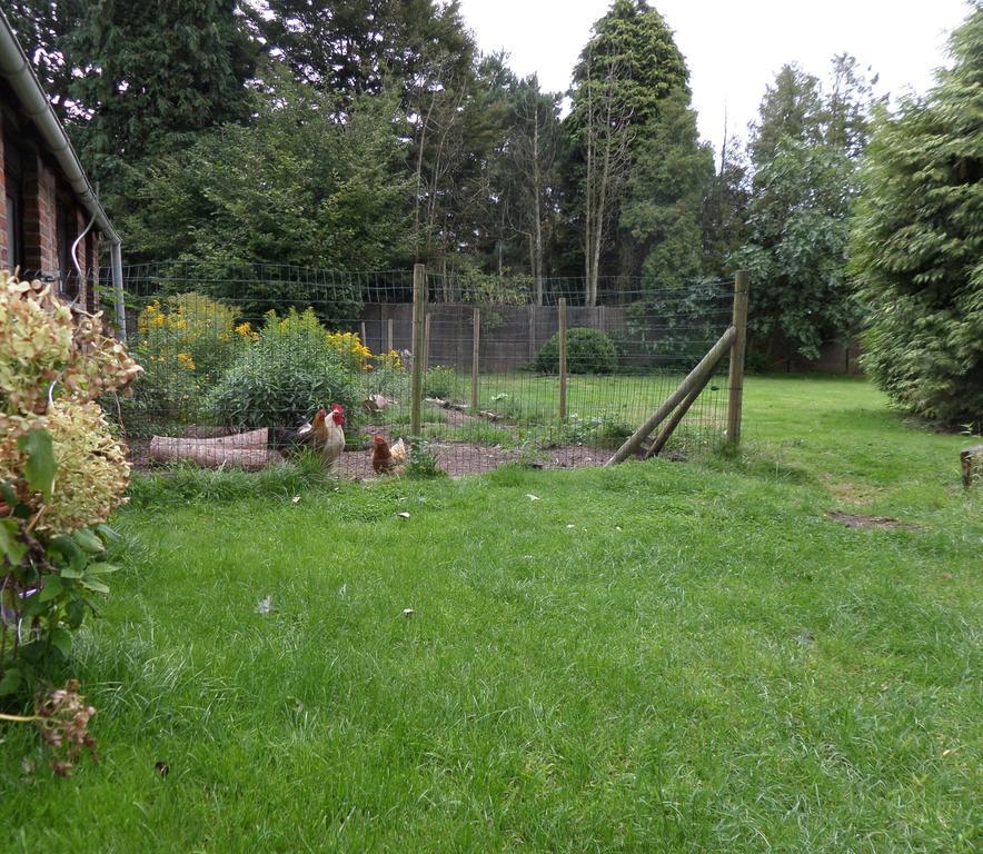 Villa Bijenhof Varsenare Oda fotoğraf