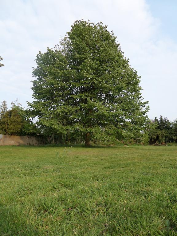 Villa Bijenhof Varsenare Oda fotoğraf